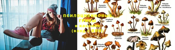 apvp Балахна