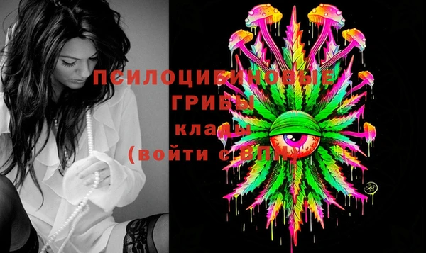 apvp Балахна